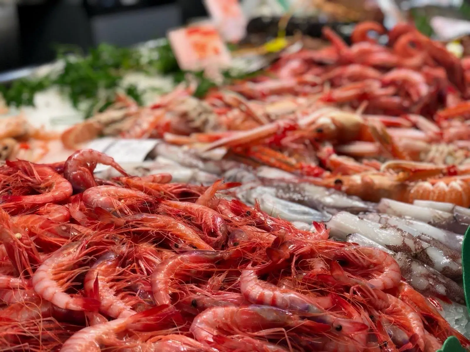 132721825_3801404839925223_3658674180006553514_n