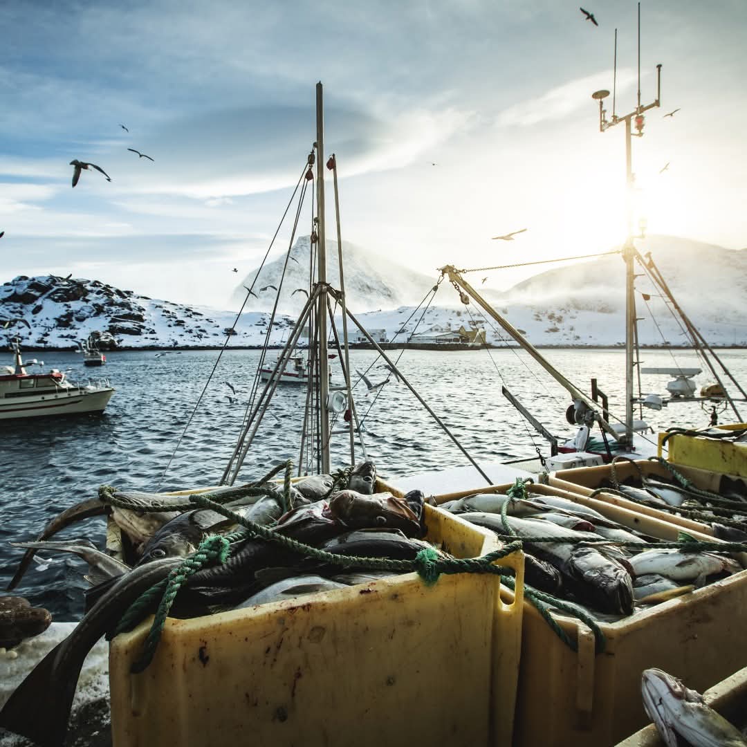 facebook_1736591174169_7283791308183045889